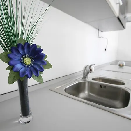 Local Primavera Hotel